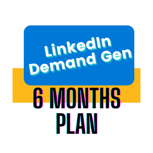 LinkedIn 6 Months - Demand Gen Plan