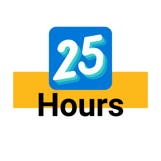 25 hour Consultancy Package